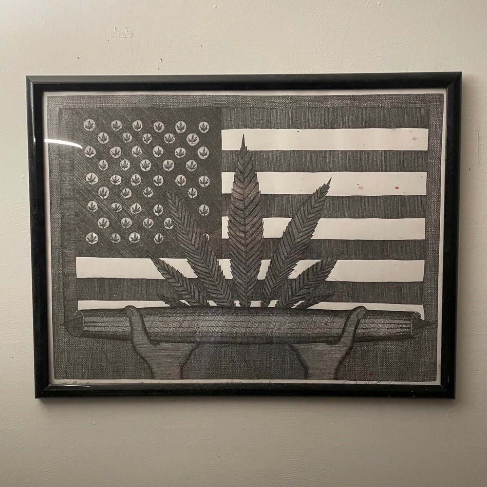 Original Pen and Ink Cannabis American Flag Art Framed 19x25 Stoner Decor Print
